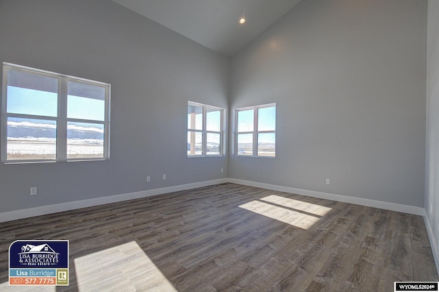 empty room featuring high vaulted ceiling and dark hardwood / wood-style flooring