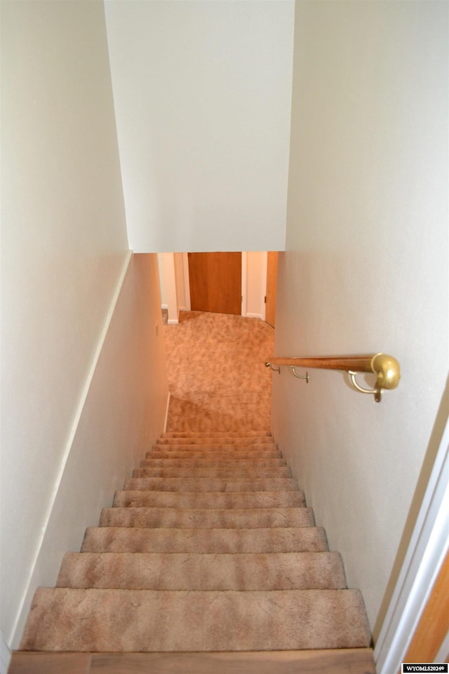 staircase featuring carpet