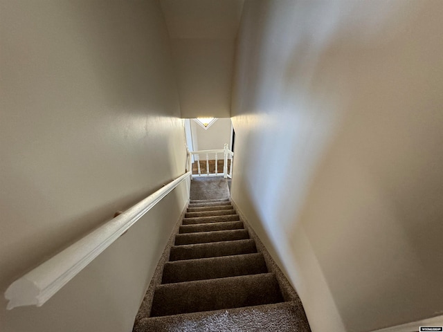 stairway featuring carpet