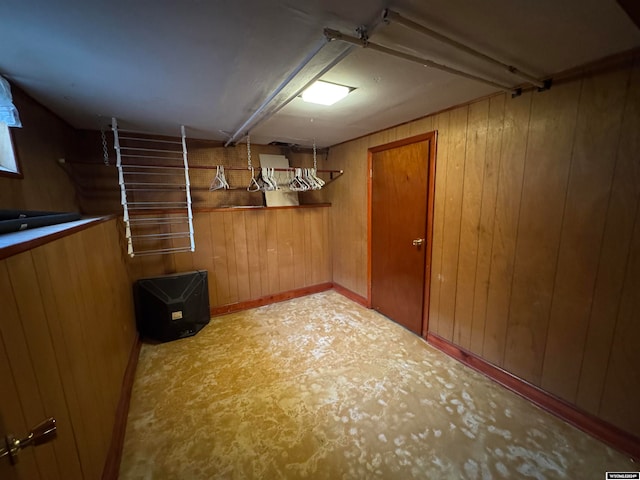 basement with wood walls