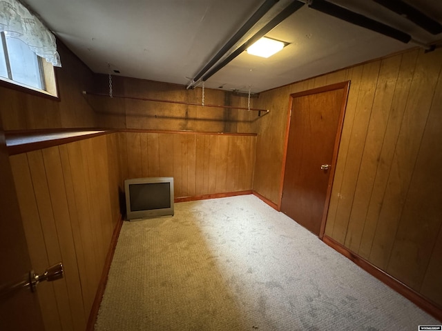 basement with light carpet and wood walls