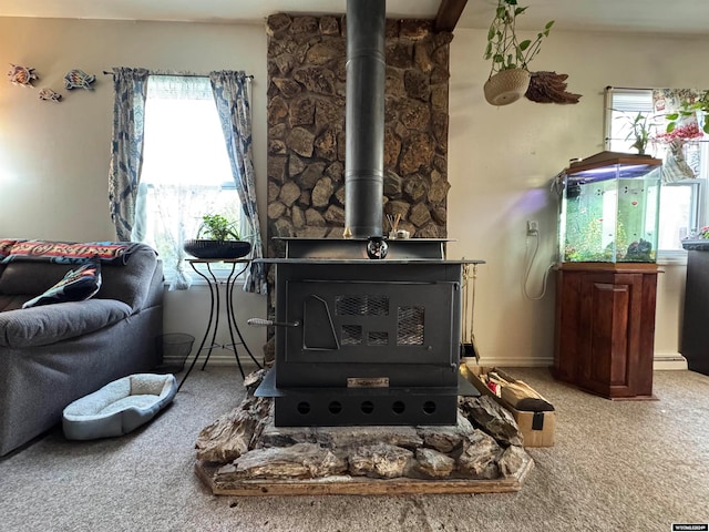 details with carpet flooring and a wood stove