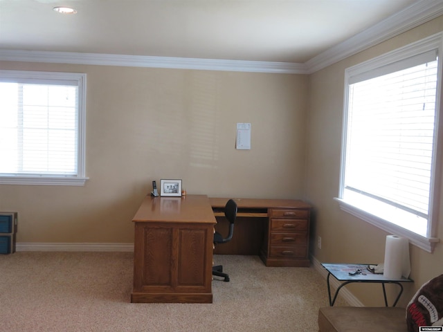 carpeted home office with crown molding