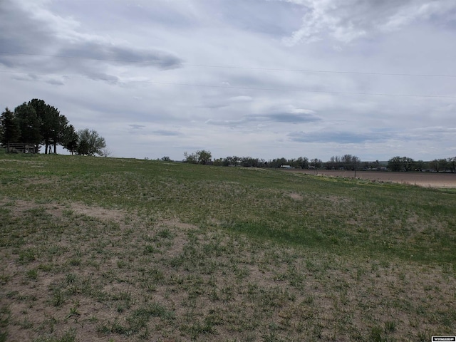 view of local wilderness with a rural view