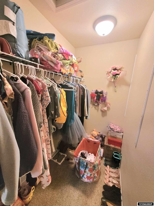 spacious closet featuring carpet floors