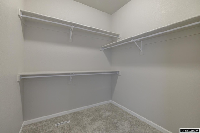 spacious closet with carpet floors