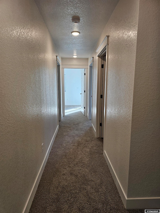 hallway with carpet floors and a textured ceiling