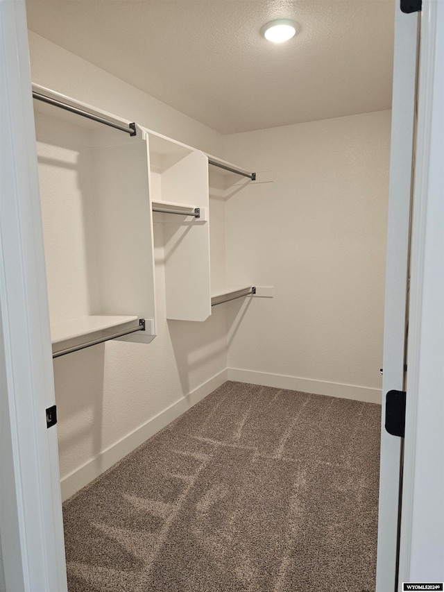 walk in closet with dark colored carpet