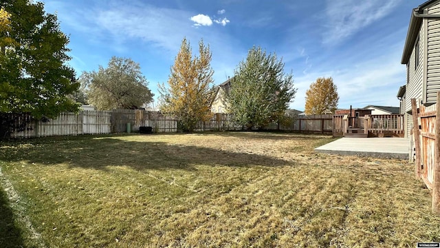 view of yard featuring a patio area