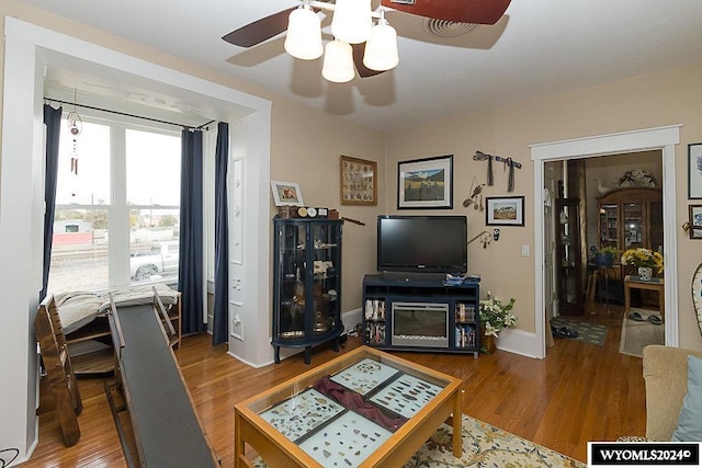 living room featuring ceiling fan and hardwood / wood-style flooring