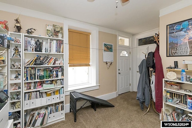 interior space featuring ceiling fan, carpet, and ornamental molding