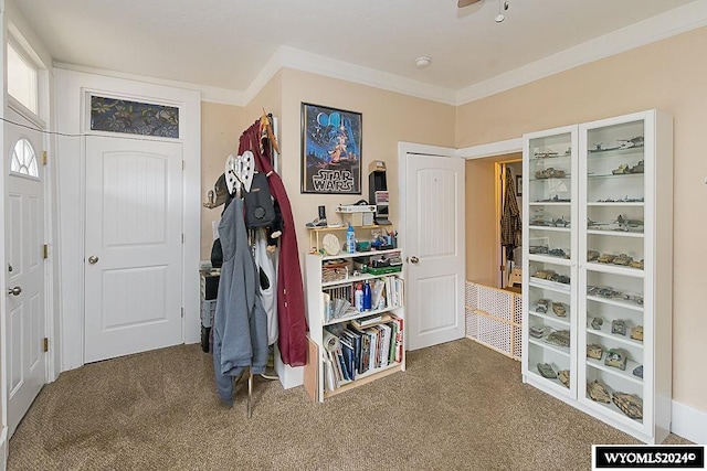 interior space with ornamental molding and carpet