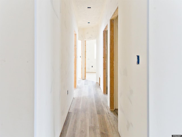 corridor featuring light wood-style floors