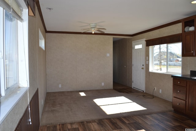 interior space featuring dark wood-type flooring, ceiling fan, and ornamental molding