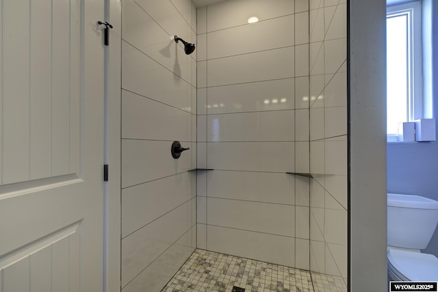 bathroom featuring toilet, healthy amount of natural light, and a shower stall
