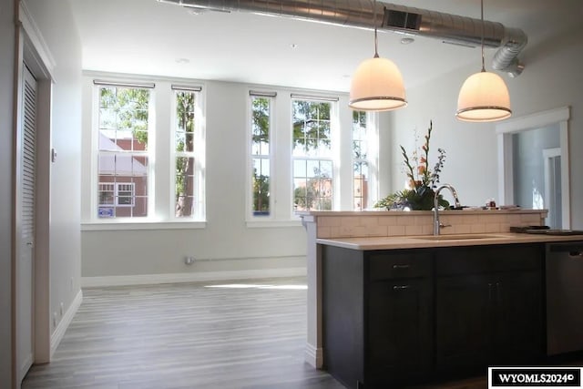 kitchen featuring dishwashing machine, hardwood / wood-style flooring, sink, and pendant lighting