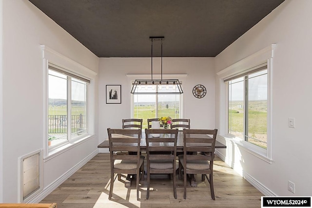 dining room with light hardwood / wood-style floors