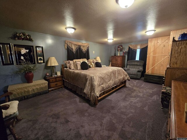 43 Red Cliff Dr, Lander, WY 82520 - bedroom with dark colored carpet and a textured ceiling