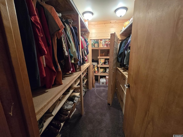 43 Red Cliff Dr, Lander, WY 82520 - spacious closet featuring dark colored carpet