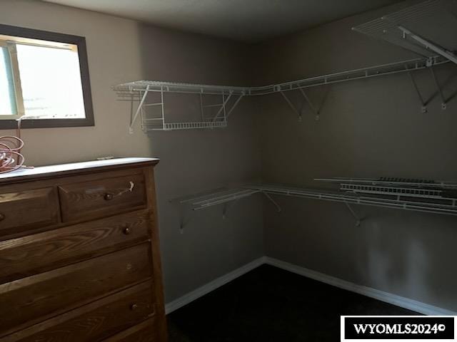 view of walk in closet