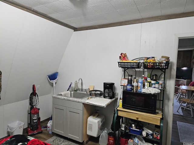 interior space featuring dark wood-type flooring, gray cabinetry, sink, and lofted ceiling