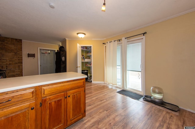 kitchen with ornamental molding and light wood-type flooring