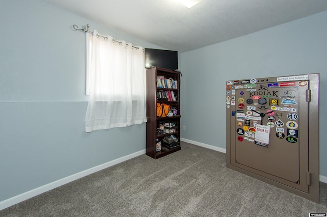 miscellaneous room with carpet