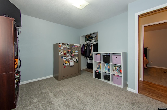 playroom with carpet