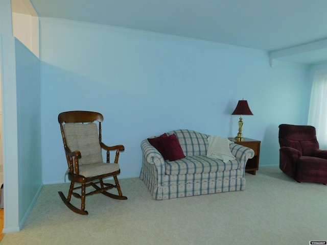 sitting room featuring carpet flooring