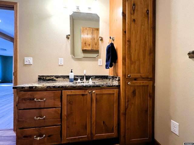 bathroom with hardwood / wood-style floors and vanity