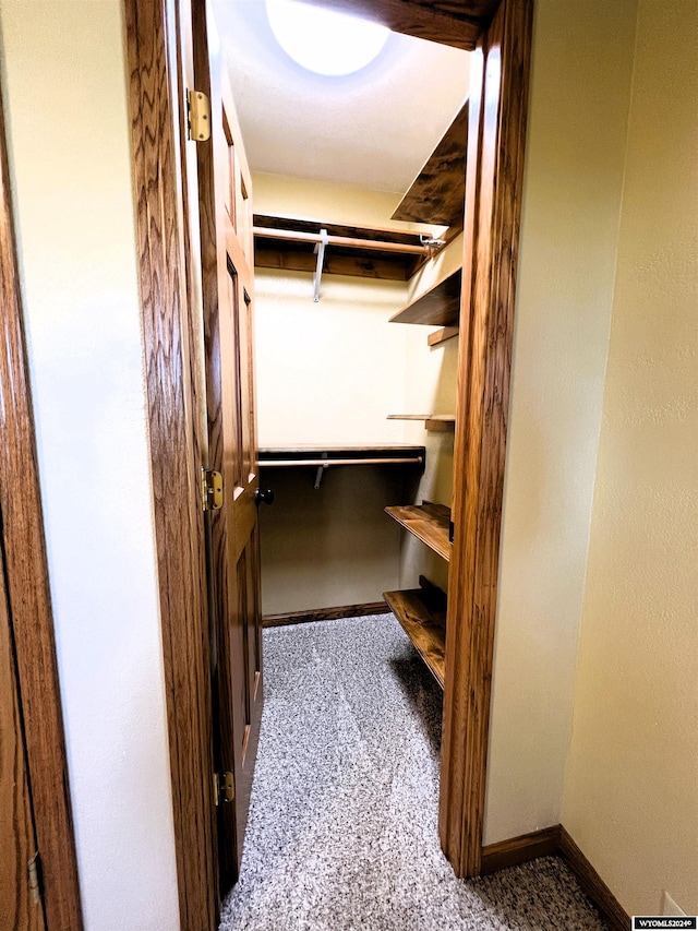 spacious closet with carpet