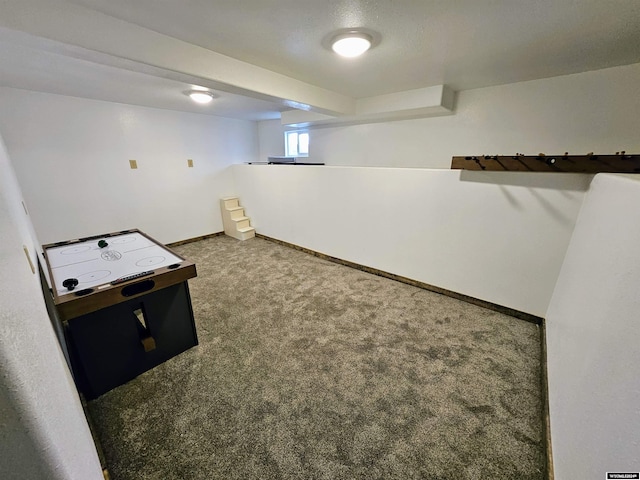 basement with carpet floors