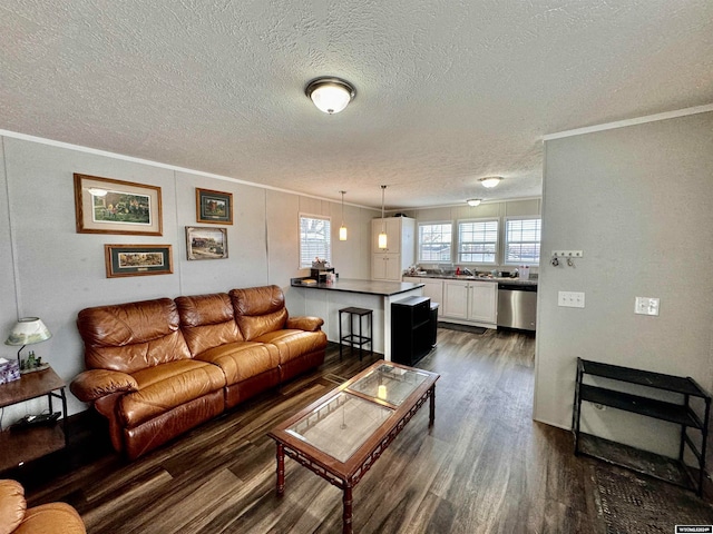 living room featuring dark hardwood / wood-style floors, a textured ceiling, and ornamental molding