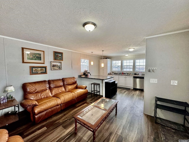 living room with sink, a textured ceiling, dark hardwood / wood-style floors, and crown molding