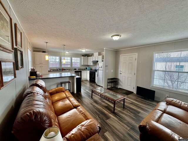 living room featuring dark wood-type flooring, a textured ceiling, and ornamental molding