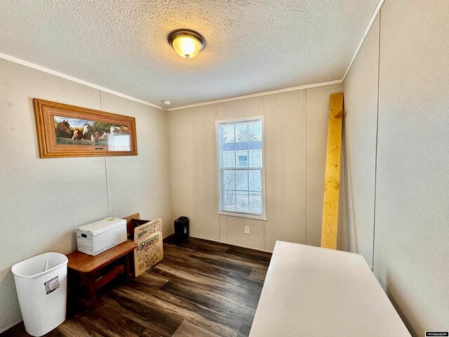 living area with dark hardwood / wood-style flooring, a textured ceiling, and crown molding