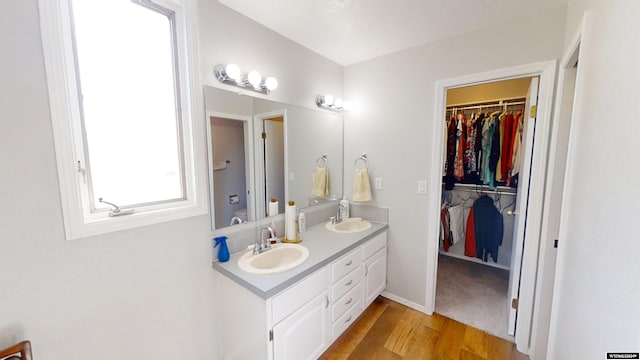 bathroom featuring wood-type flooring and vanity