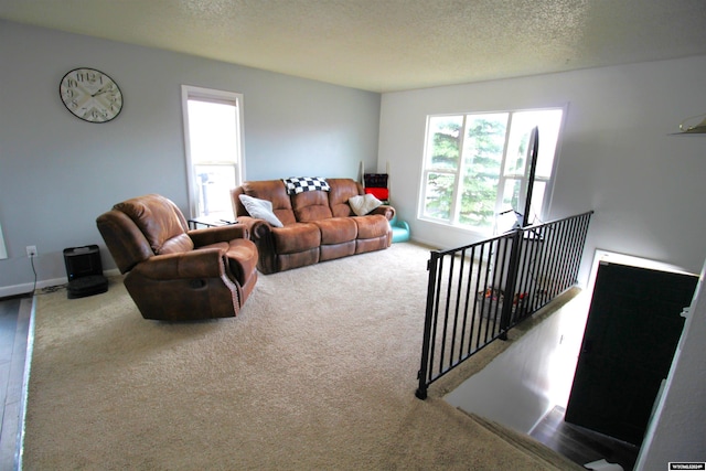 living room with carpet flooring and a textured ceiling