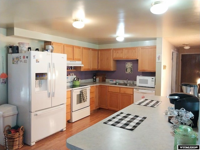 kitchen with light hardwood / wood-style floors, sink, and white appliances