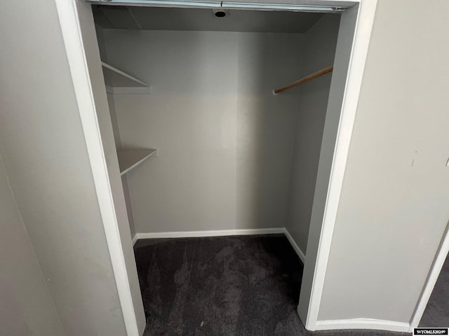 spacious closet with carpet floors