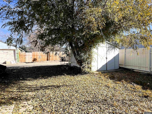 view of yard with a shed