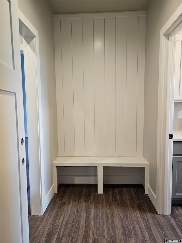 mudroom with dark wood-type flooring