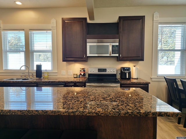 kitchen featuring appliances with stainless steel finishes, dark brown cabinets, light hardwood / wood-style floors, and plenty of natural light