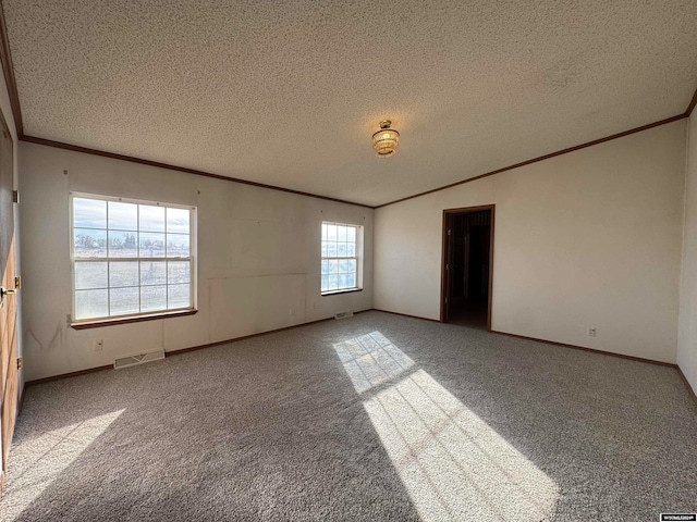 empty room featuring crown molding, light colored carpet, and a textured ceiling