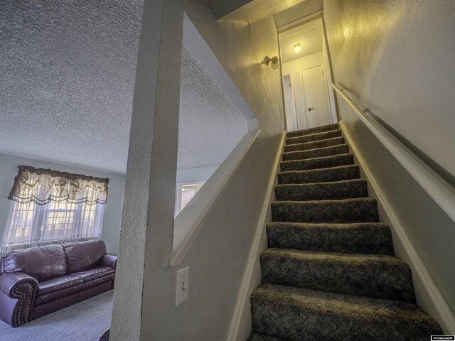 909 Skyline Dr, Douglas, WY 82633 - stairs featuring a textured ceiling and carpet flooring