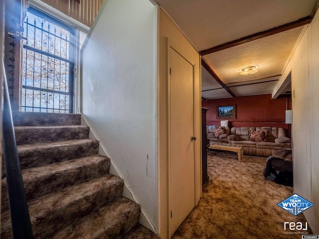 stairs featuring wood walls and carpet floors