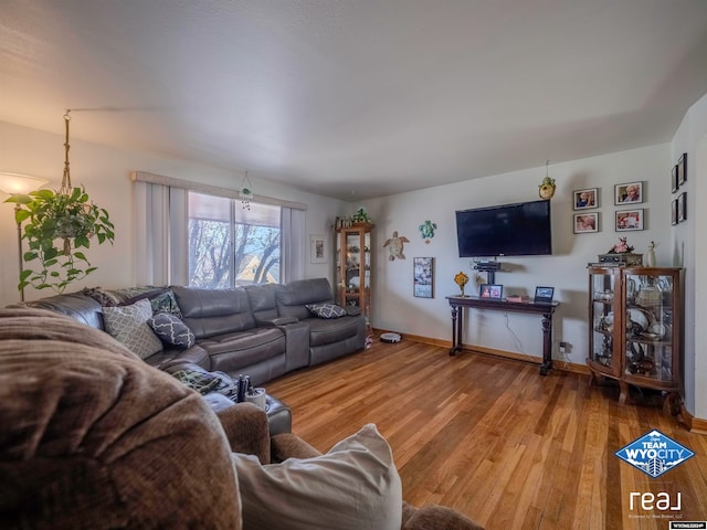 living room featuring hardwood / wood-style floors