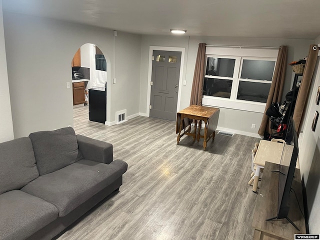 living room featuring wood-type flooring