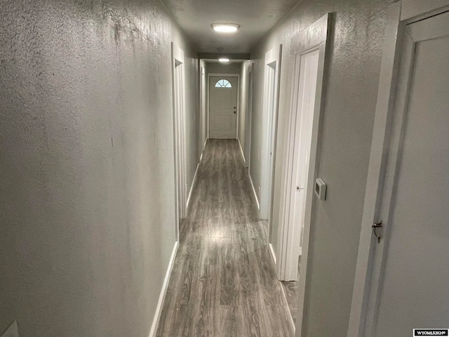 corridor featuring dark wood-type flooring