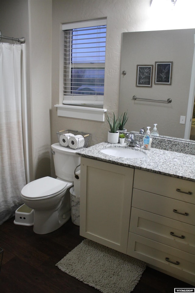 bathroom with a shower with curtain, vanity, wood-type flooring, and toilet